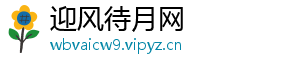 迎风待月网